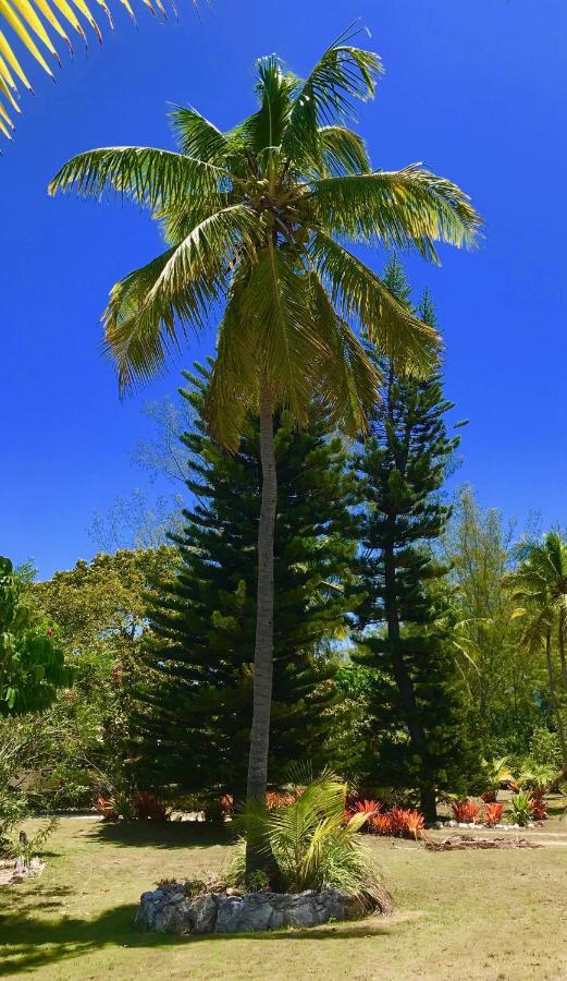 Poponi Cottage Cottage North Palmetto Point Bagian luar foto